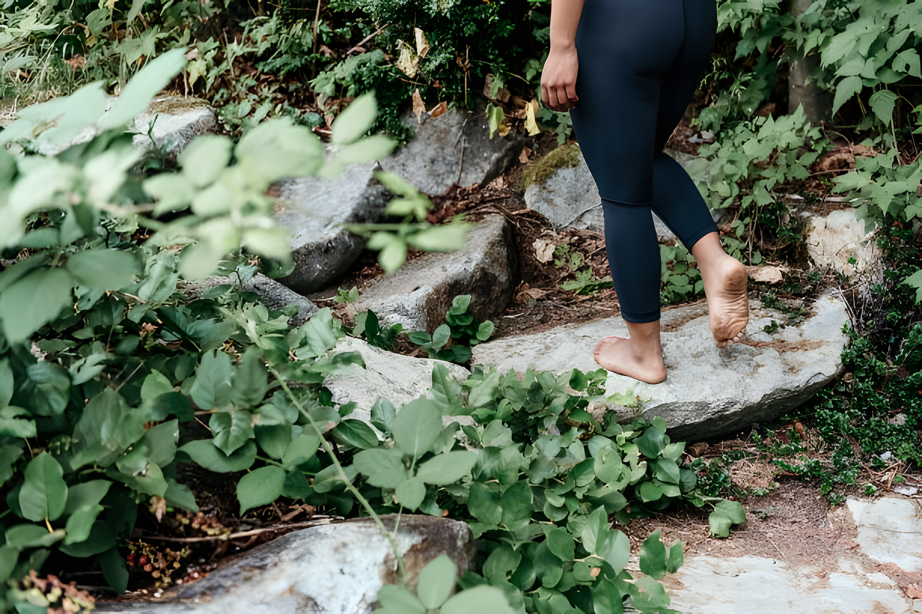 Earthing and Grounding Products