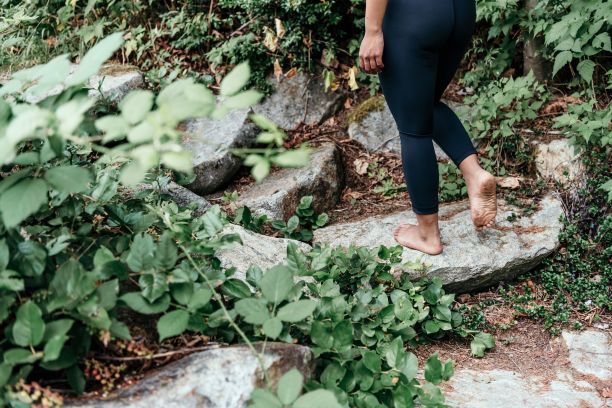 Earthing and Grounding Products