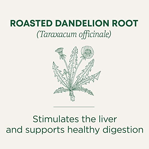 Traditional Medicinals Tea, Organic Roasted Dandelion Root, Supports Kidney Function & Healthy Digestion,16 Count(Pack of 6) Packaging May Vary