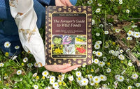 The Forager’s Guide to Wild Foods