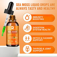 B BEWORTHS Sea Moss Liquid Drops - Organic Irish Sea Moss Raw Gel with Burdock Root, Tumeric, Spirulina, Seamoss Gel Supplement for Immune, Joint, Digestive Support - 2 Fl Oz, Vegan