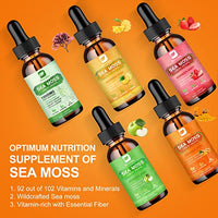 B BEWORTHS Sea Moss Liquid Drops - Organic Irish Sea Moss Raw Gel with Burdock Root, Tumeric, Spirulina, Seamoss Gel Supplement for Immune, Joint, Digestive Support - 2 Fl Oz, Vegan