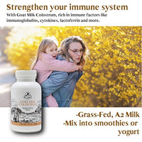 MT. CAPRA SINCE 1928 Goat Milk Colostrum | For Healthy Immune System, Gut, and Athletic Performance, Grass-Fed, High in Immunoglobulins - 50 Grams (2900 mg per serving)