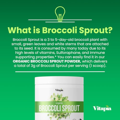 Vitapia Organic Broccoli Sprout Powder - High in Sulforaphane & Antioxidant, Cognitive Health Support - 30 Day Supply - Non GMO & Gluten Free, 33 Servings (Pack of 1)