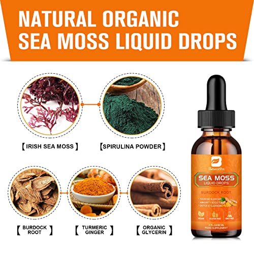 B BEWORTHS Sea Moss Liquid Drops - Organic Irish Sea Moss Raw Gel with Burdock Root, Tumeric, Spirulina, Seamoss Gel Supplement for Immune, Joint, Digestive Support - 2 Fl Oz, Vegan