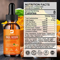 B BEWORTHS Sea Moss Liquid Drops - Organic Irish Sea Moss Raw Gel with Burdock Root, Tumeric, Spirulina, Seamoss Gel Supplement for Immune, Joint, Digestive Support - 2 Fl Oz, Vegan