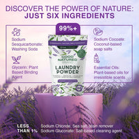 Good Natured Brand Laundry Bundle | Carpet Freshener Lemon & Eucalyptus 47oz | Pet-Friendly Carpet Deodorizer | Laundry Powder Lavender & Eucalyptus 47oz| Hypoallergenic Laundry Powder 94 Loads