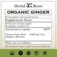 Herbal Roots Ginger Supplement | Organic Ginger Root Capsules | 1,200 mg of Pure Ginger Powder per Serving | 60 Vegan Capsules