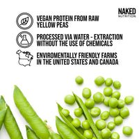 Vanilla Pea Protein Isolate from North American Farms, Only 3 Ingredients, Vanilla Vegan Protein, Gluten-Free, Soy Free, GMO Free - 1LB