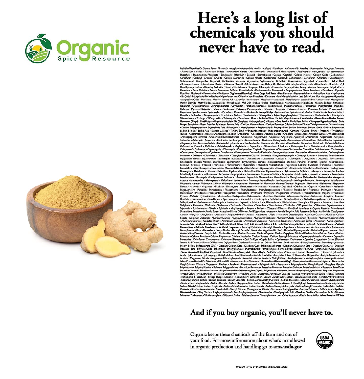 Organic Ginger Powder | 8 oz (226g) | USDA Organics and Non-GMO Verified Project Approved | Product of India | 100% Raw and Natural | Resealable Kraft Bag by SHOPOSR