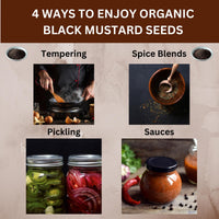 SPICY ORGANIC Indian Black Mustard Seeds - 8 oz - Whole, Pure, and Natural Dried Mustard Seed for Cooking and Seasoning - USDA Certified Organic, Kosher, Gluten-Free, and Non-GMO