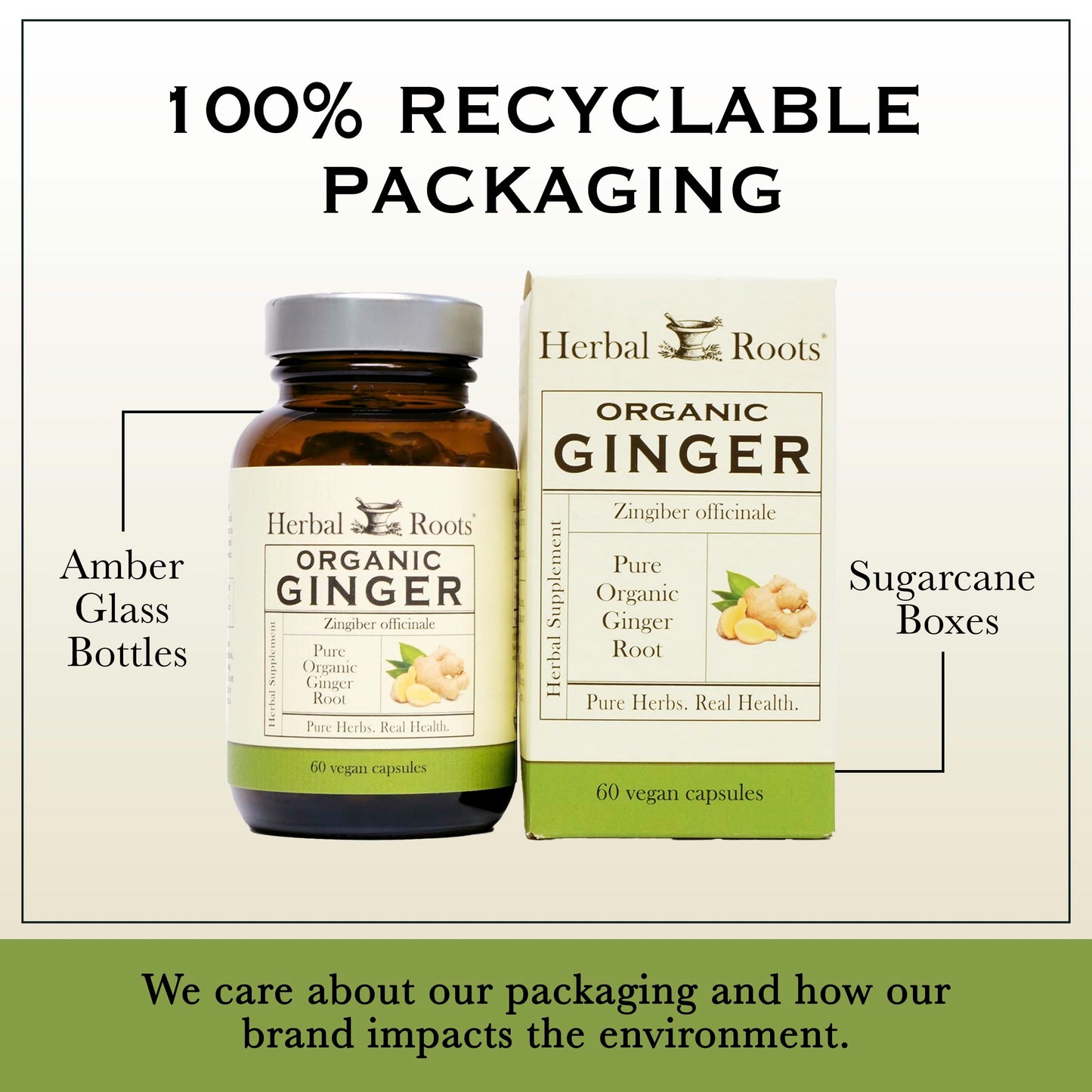 Herbal Roots Ginger Supplement | Organic Ginger Root Capsules | 1,200 mg of Pure Ginger Powder per Serving | 60 Vegan Capsules