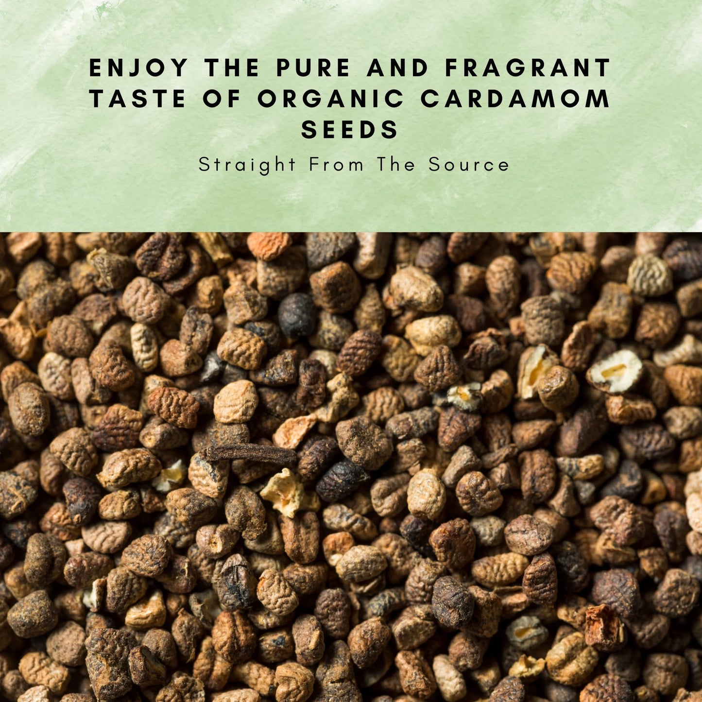 SPICY ORGANIC Premium Decorticated Organic Cardamom Seeds – 100% USDA Organic - Perfect for enhancing the taste of a variety of dishes such as baked goods, beverages, curry blends, and meat dishes- 8 Oz.