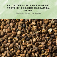 SPICY ORGANIC Premium Decorticated Organic Cardamom Seeds – 100% USDA Organic - Perfect for enhancing the taste of a variety of dishes such as baked goods, beverages, curry blends, and meat dishes- 8 Oz.