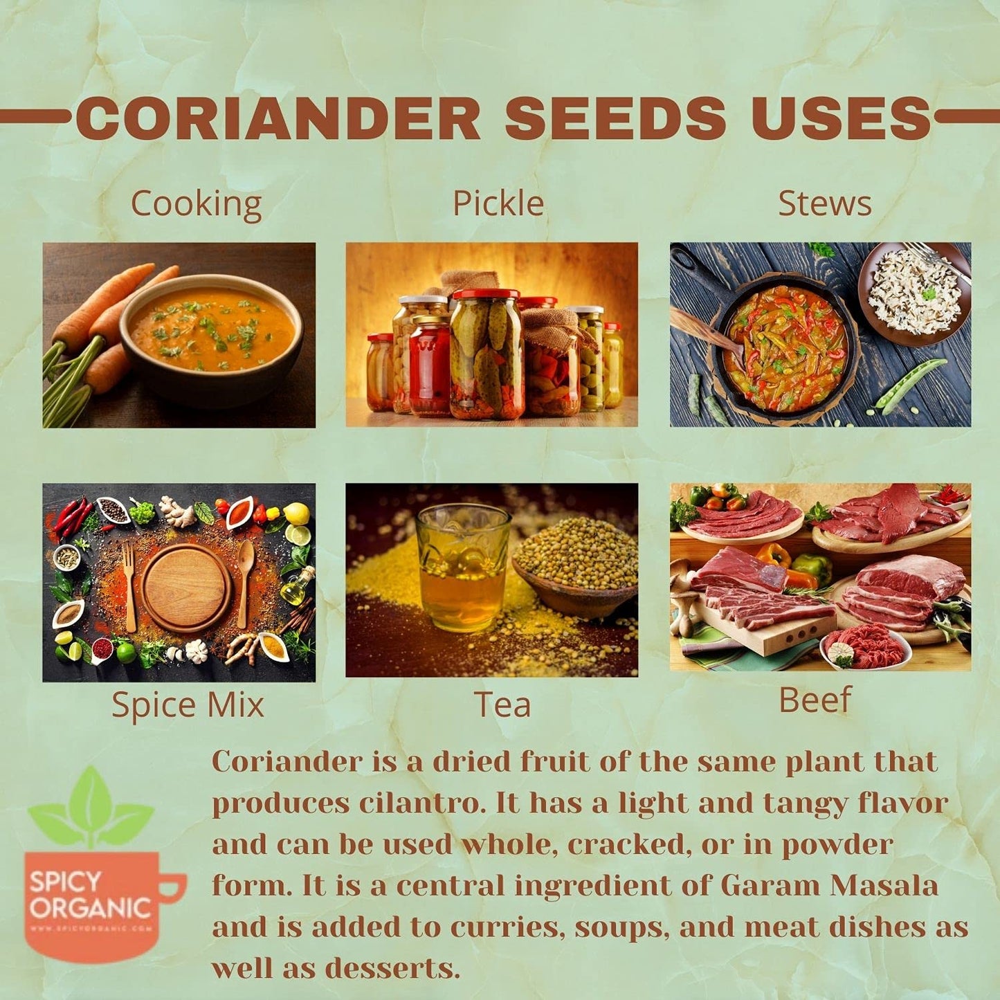 SPICY ORGANIC Whole Coriander Seeds - 16 OZ - Ideal for Cooking, Grinding into Powder & Planting - Aromatic Coriander Seed Spice - USDA Organic Certified - Non- GMO – Gluten Free