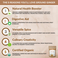 SPICY ORGANIC Ginger Root Powder – 8 oz. – Freshly Ground from Raw, Indian Ginger, Dried Spice for Baking, Beverages and Cooking - 100% Pure, USDA Certified Organic Ginger – Non-GMO & Kosher