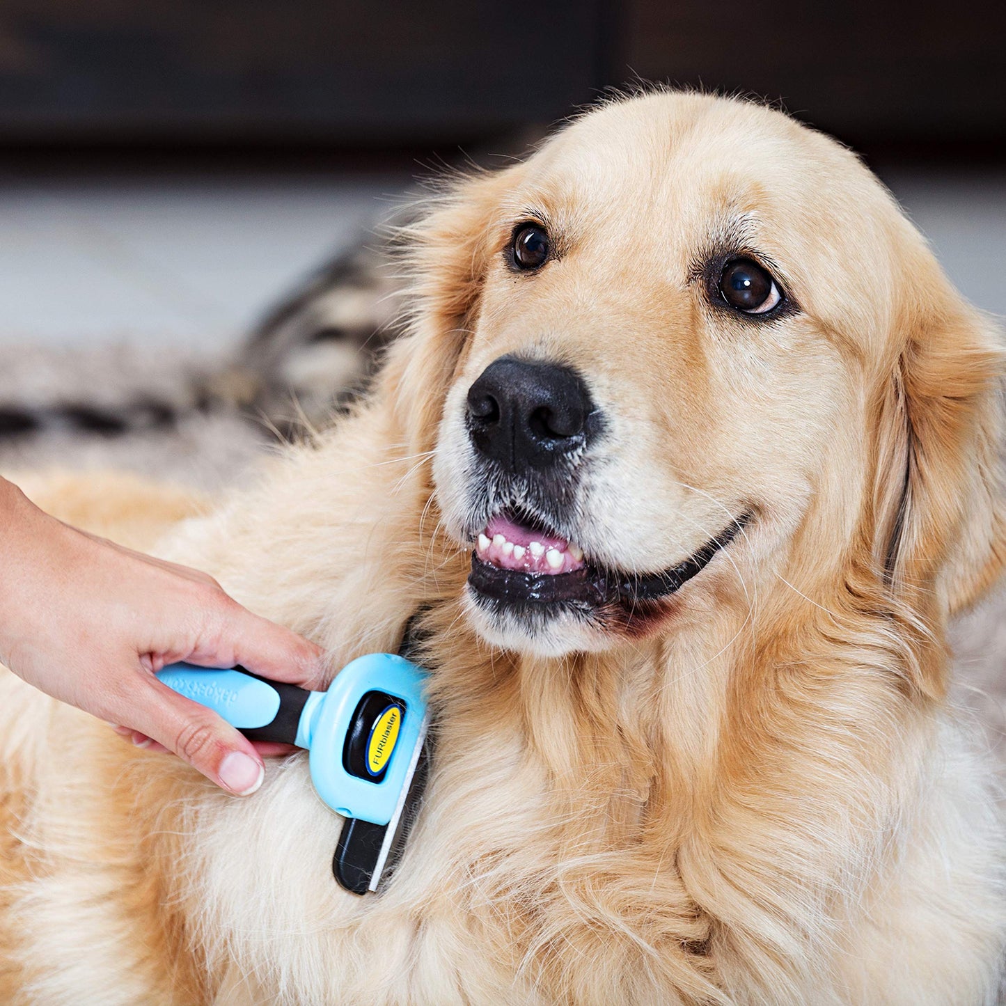 DakPets Deshedding Tool | Stainless Steel Grooming Brush for Shedding Fur Removal - Cats and Dogs