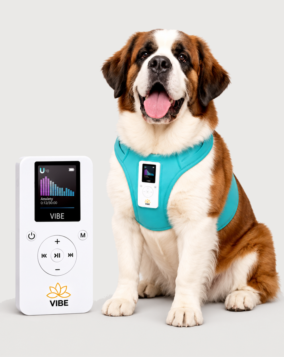 Dog Vibe Vest Bundle