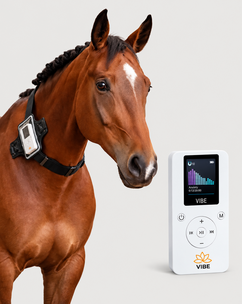 VIBE EquiVibe Bundle