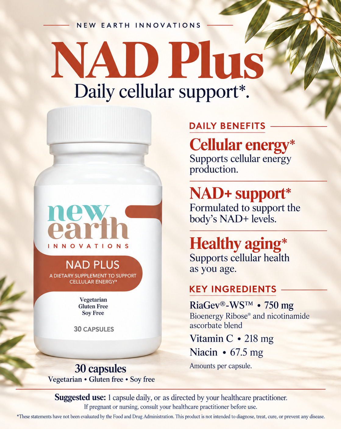 NAD Plus
