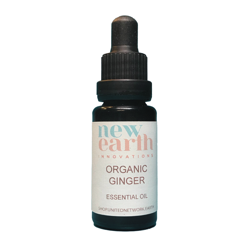 Essential Oil Organic Ginger - 15ml Pipette Dropper Bottle