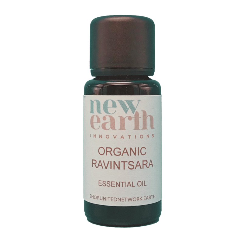Essential Oil Organic Ravintsara - 15ml Euro Dropper Bottle