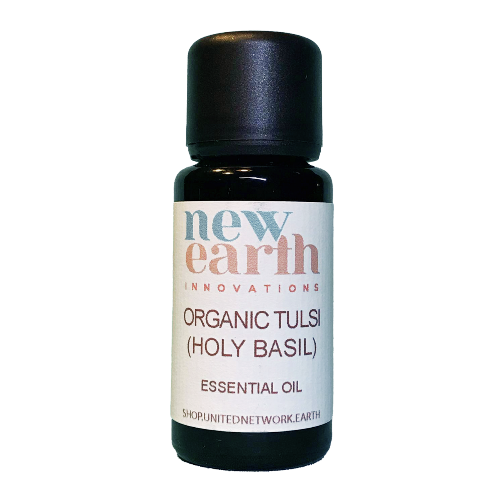 Essential Oil Organic Tulsi Holy Basil - 15ml Euro Dropper Bottle