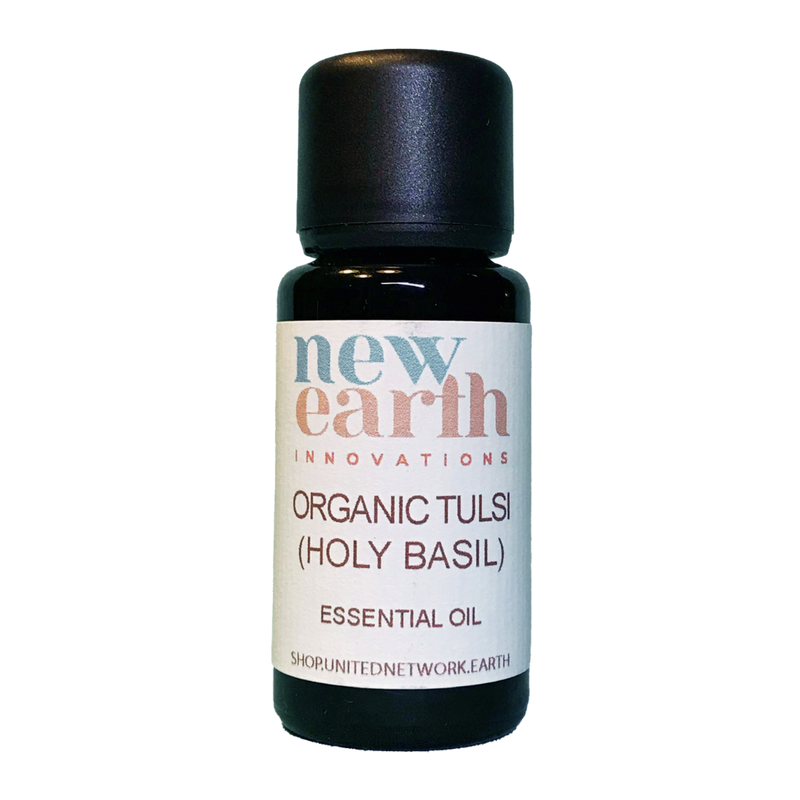 Essential Oil Organic Tulsi Holy Basil - 15ml Euro Dropper Bottle