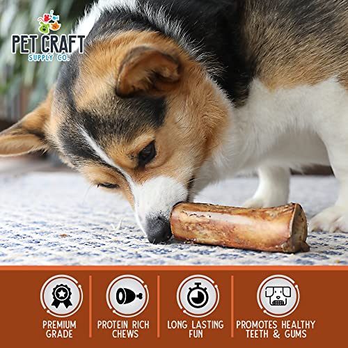 Pet Craft Supply All Natural Healthy Meaty Beef Marrow Bones Dog Chews Treats for Aggressive Chewers Long Lasting Rawhide Free Made in USA Premium Slow Roasted for Puppies Small Medium Dogs 3 Pack