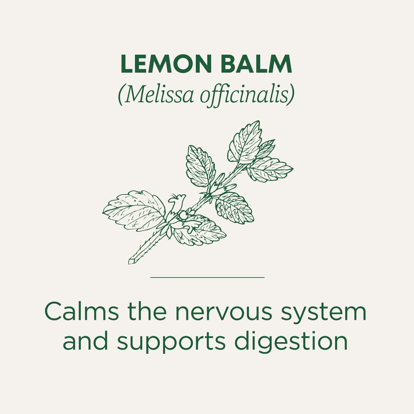 Traditional Medicinals Tea, Organic Lemon Balm, Calms Nerves & Supports Digestion, 16 Tea Bags