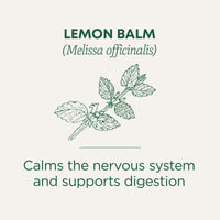 Traditional Medicinals Tea, Organic Lemon Balm, Calms Nerves & Supports Digestion, 16 Tea Bags