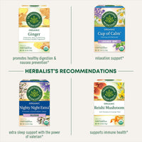 Traditional Medicinals Tea, Organic Lemon Balm, Calms Nerves & Supports Digestion, 16 Tea Bags