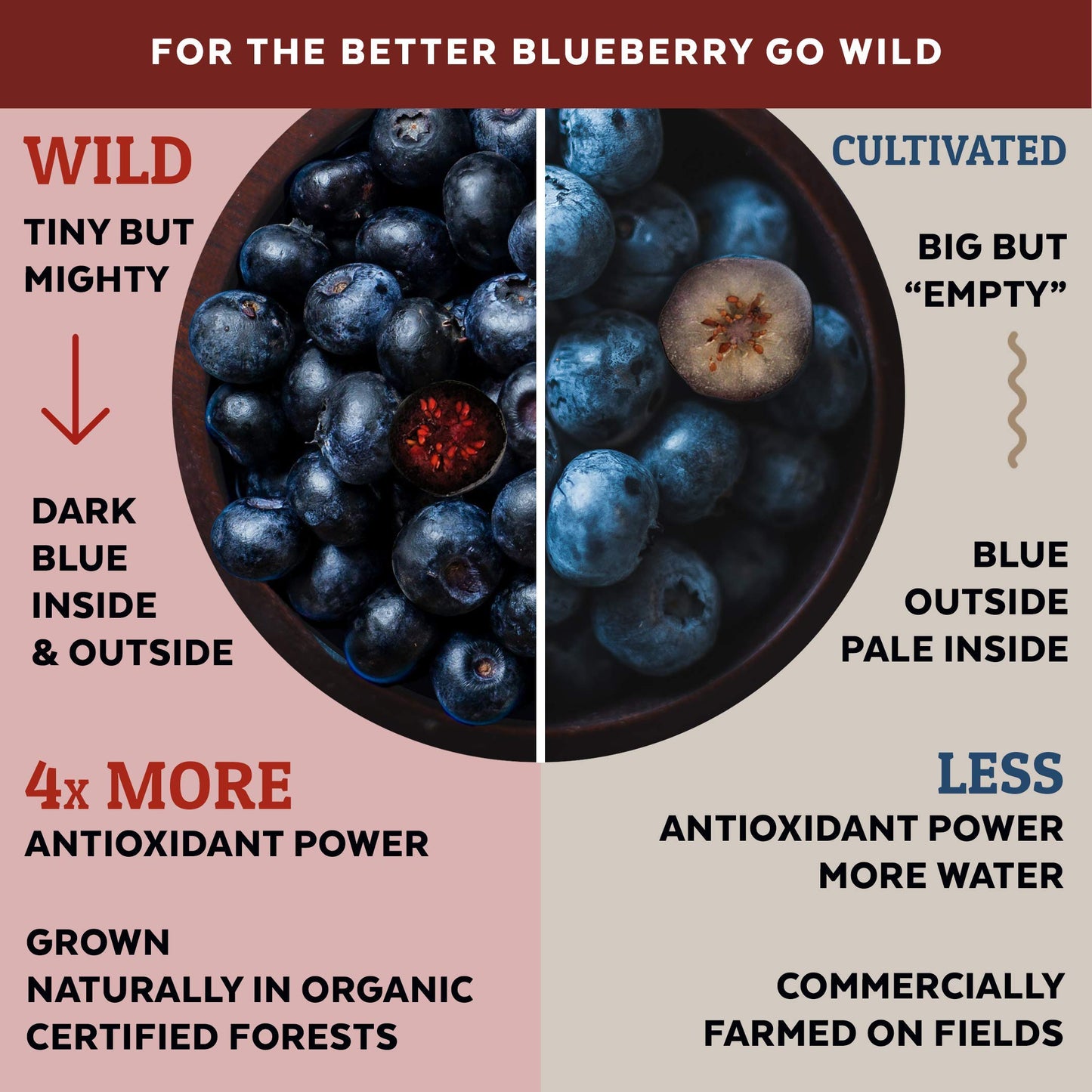 Numami Wild Blueberry Powder Organic, for Smoothies, Baking and Flavoring, Rich in Antioxydants and Vitamin C, Organic Blueberries are Handpicked from Nordic Forests for Freeze Dried Blueberry Powder