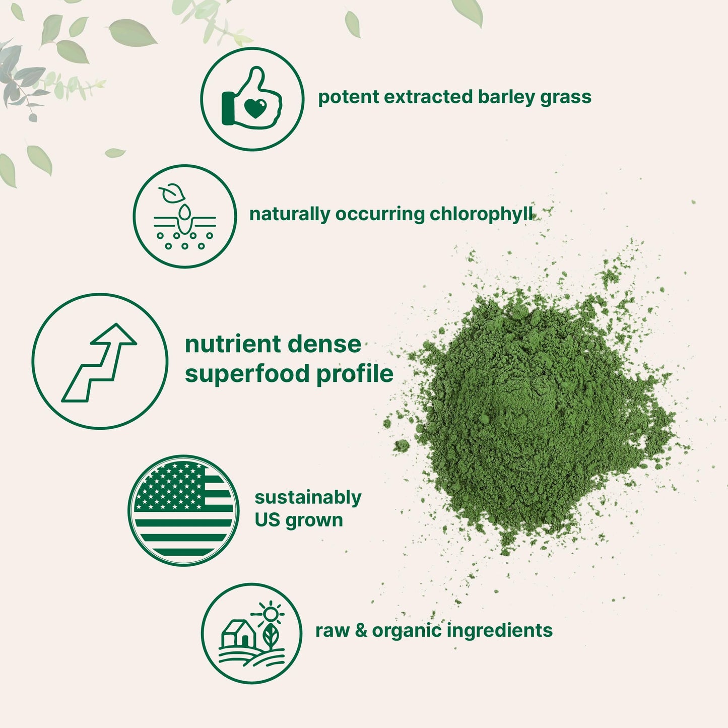 Organic Barley Grass Powder, 16 Ounces | US Grown | Rich in Vitamins, Minerals, Fibers, & Antioxidants | Superfood Greens Mix for Immune Health and Digestion Support | Non-GMO