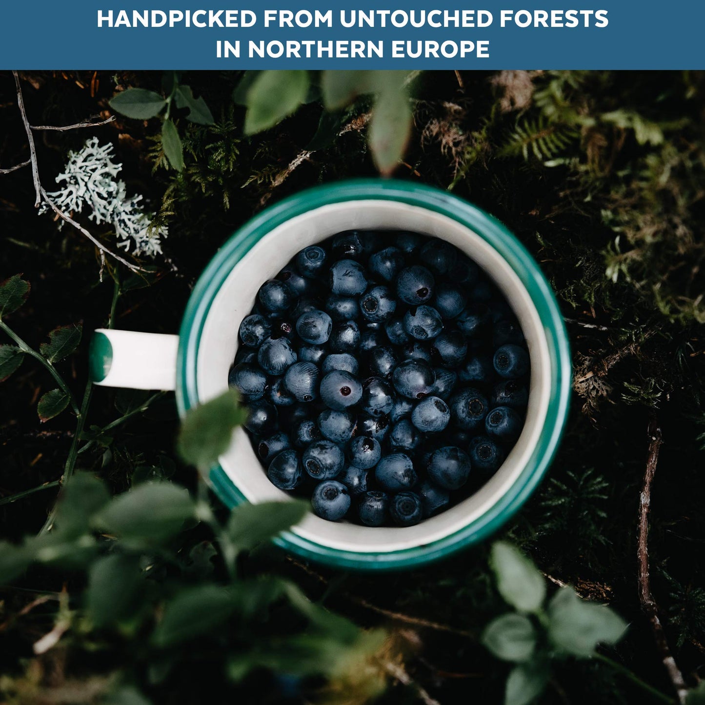 Numami Wild Blueberry Powder Organic, for Smoothies, Baking and Flavoring, Rich in Antioxydants and Vitamin C, Organic Blueberries are Handpicked from Nordic Forests for Freeze Dried Blueberry Powder